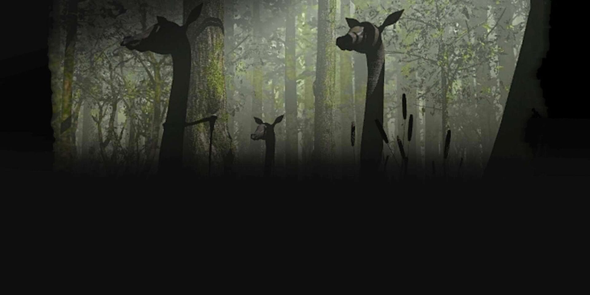 Amerzone: The Explorer's Legacy