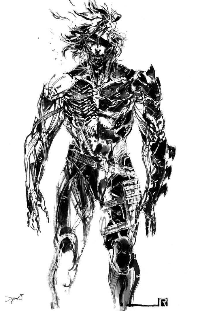Metal Gear Rising: Revengeance